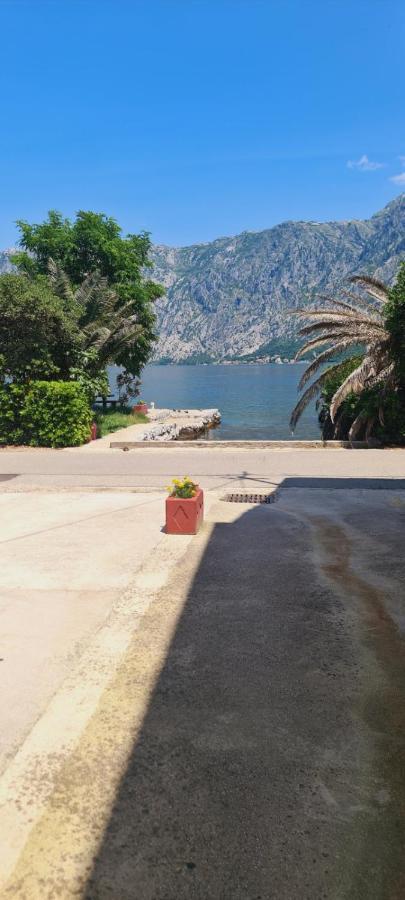 Apartman Katarina Kotor Exterior photo